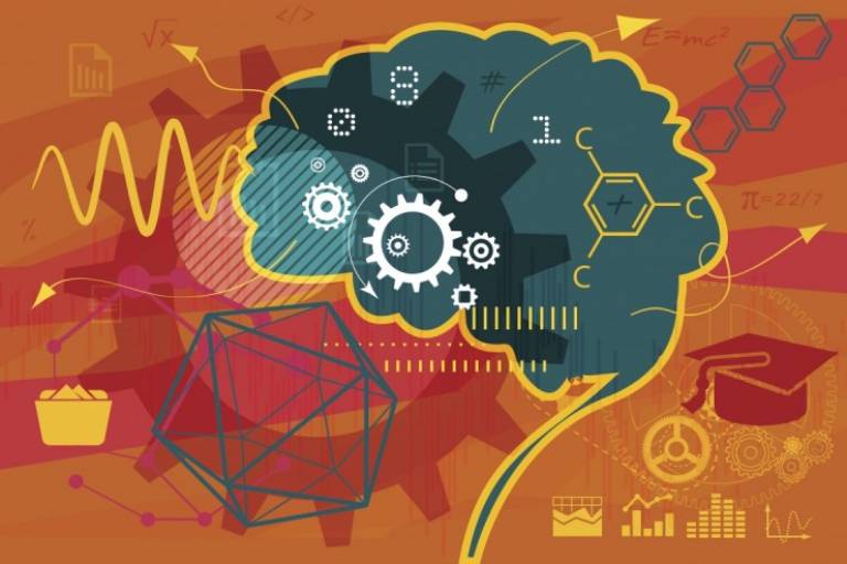 brain vector